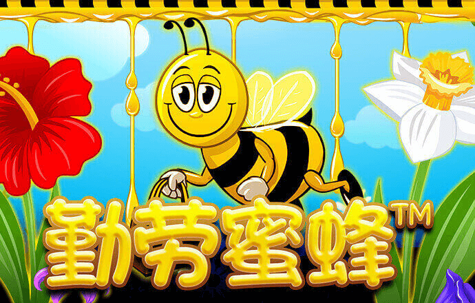 云开·体育app官方网站下载